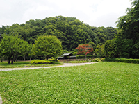 新林公園全景