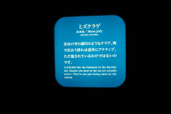 短文でシンプルに書かれた掲示物