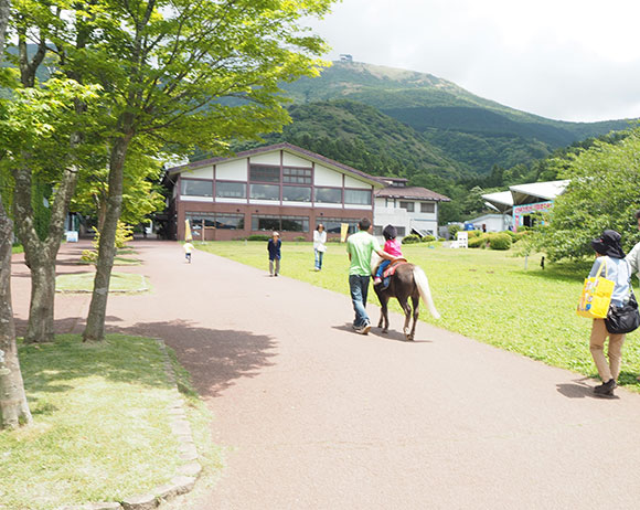 ポニー乗馬の様子