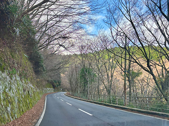 カーブしている山道