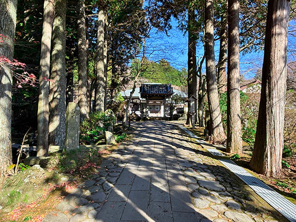 自然豊かな参道