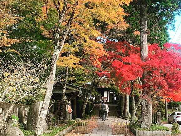 紅葉が美しい参道