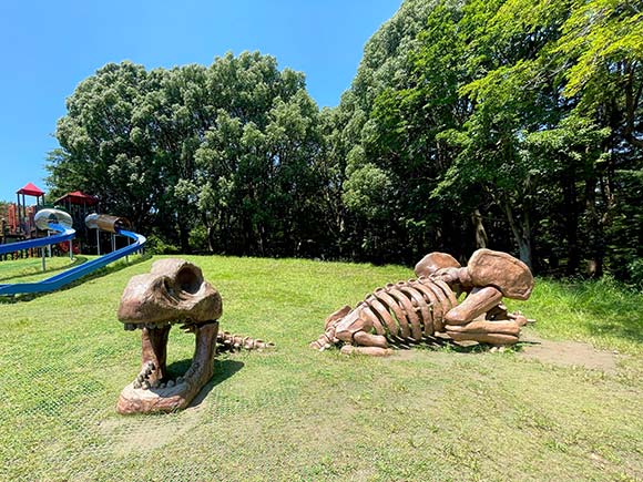 恐竜の骨のオブジェ