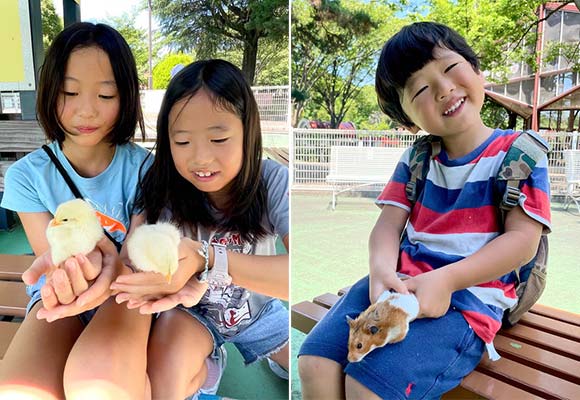 小動物と触れ合う子どもたち