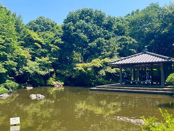 池のほとりにある東屋