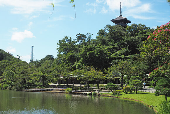 三渓園の庭園