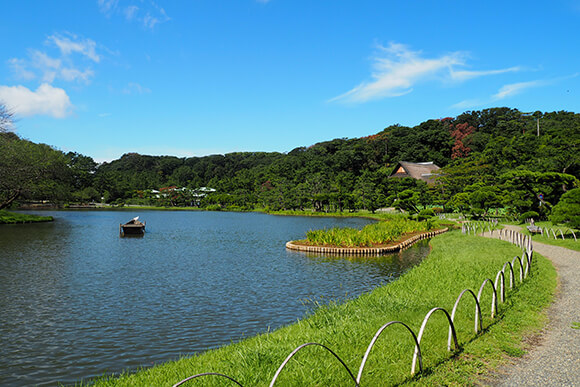 池と青空