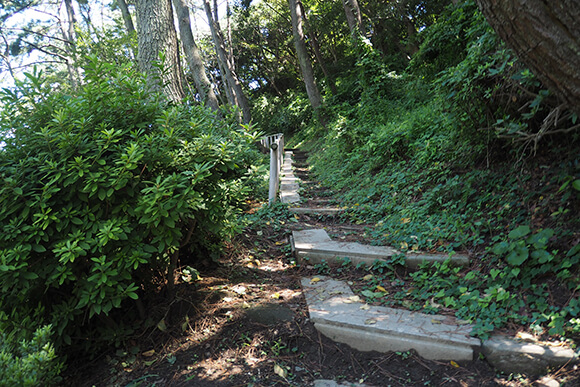 山道につくられた階段