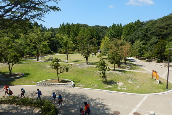 広い芝生の広場