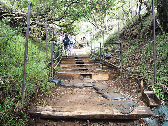 鹿避けの柵がある登山道