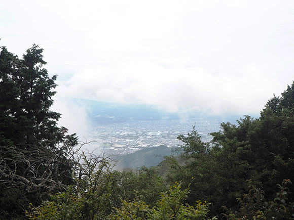 頂上から見た市街地