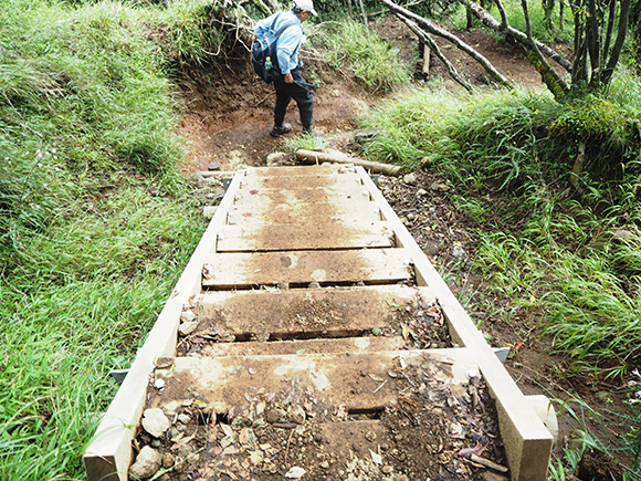 木の階段のある登山道