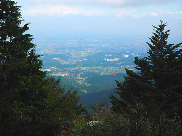 山から見た伊勢原の街