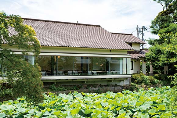 蓮が生茂る池とガラス張りの建物