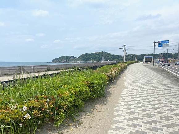 海沿いの景色