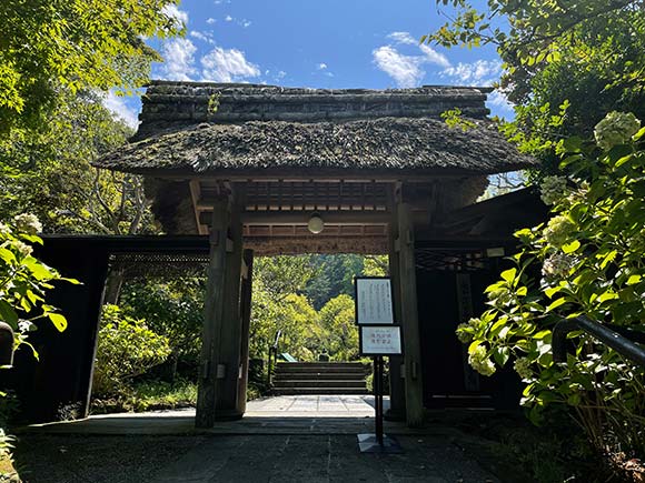 立派な茅葺き屋根の山門