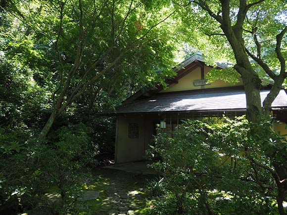 木々の中に建てられた平家