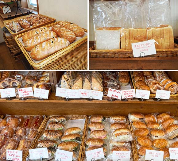 多種多様なパンの数々