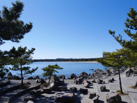 木々の間から見える美しい海