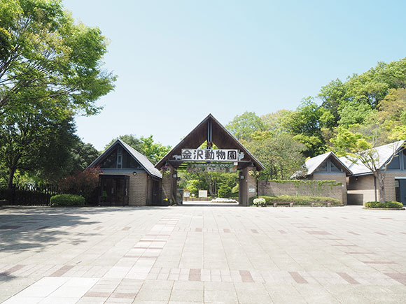 金沢自然公園の入口