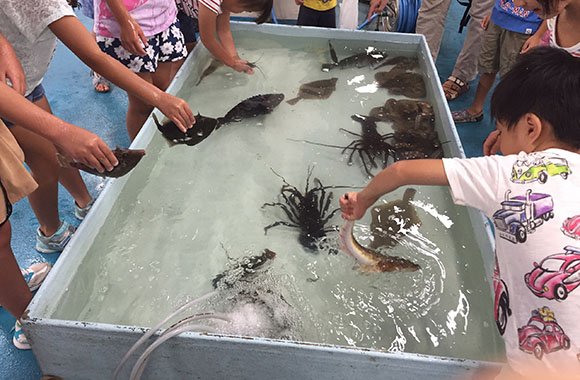 魚をつかんでいるところ