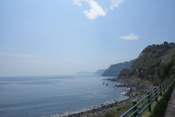 道路沿いから見た琴ヶ浜の景色