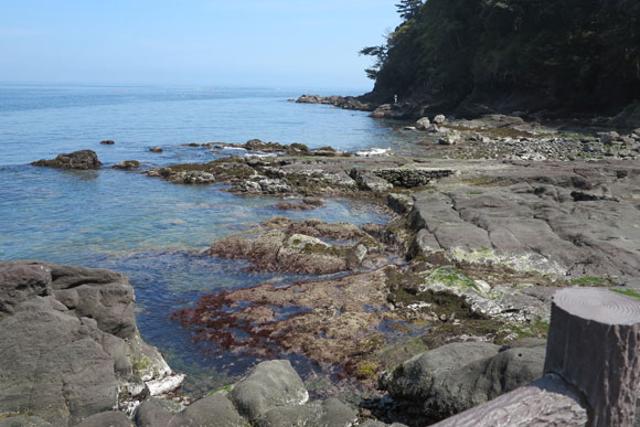 海岸近くの景色