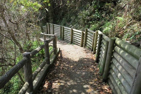 左右に柵がある道