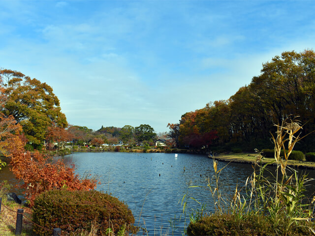 大池全景