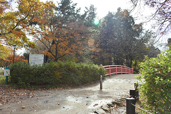 園内通路の案内板と橋