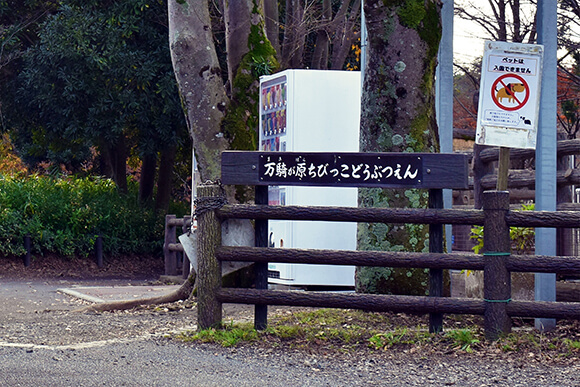 万騎が原ちびっこ動物園看板