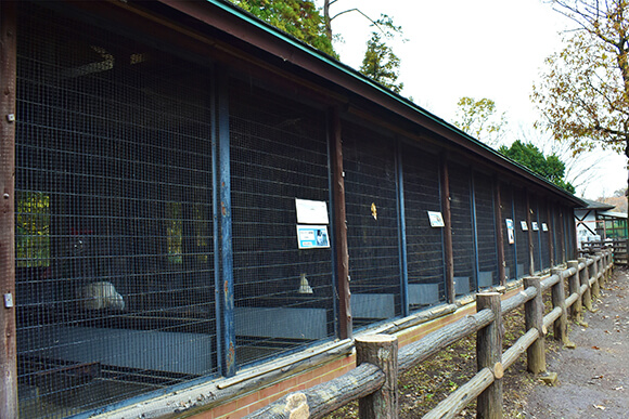 ニワトリ小屋全景