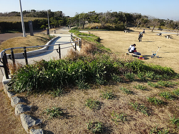 緑豊かな広場