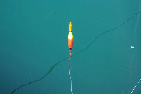 海面に浮かぶウキ