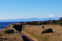 高台の道と富士山