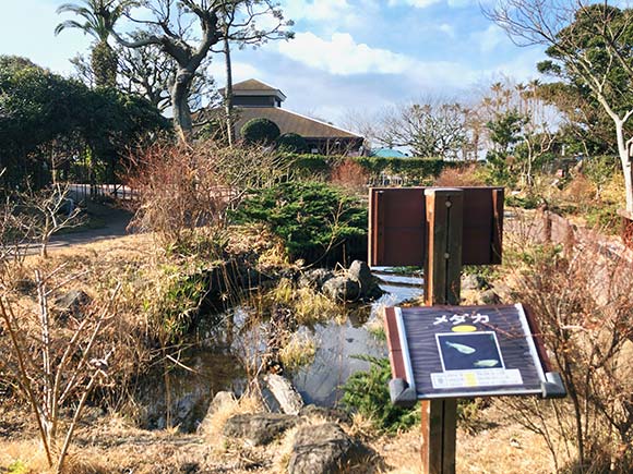 メダカの紹介看板がある川