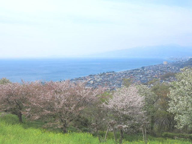 展望台からの眺望