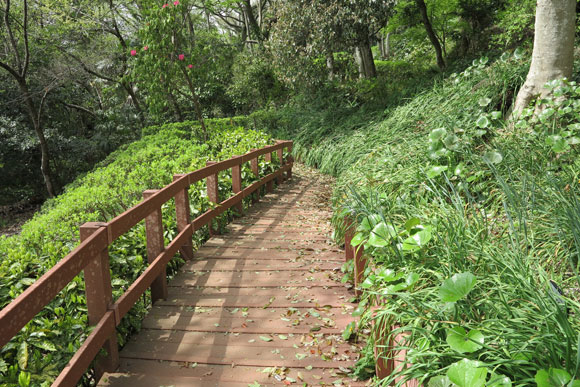 左右に緑が続く手すりのある道