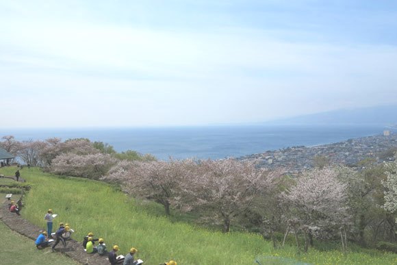 桜と街並みと海