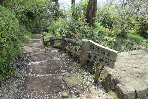 梅沢海岸と吾妻神社の案内板