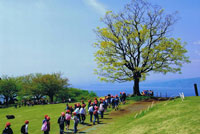 青空の吾妻山公園