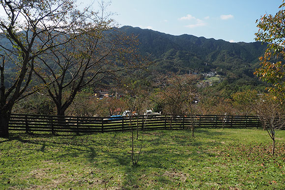 柵の向こうに山々