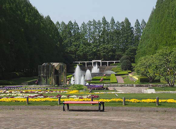 噴き出す噴水と花壇