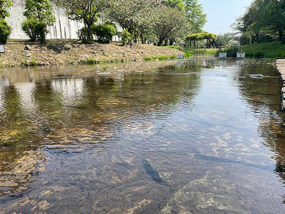 水が流れる川