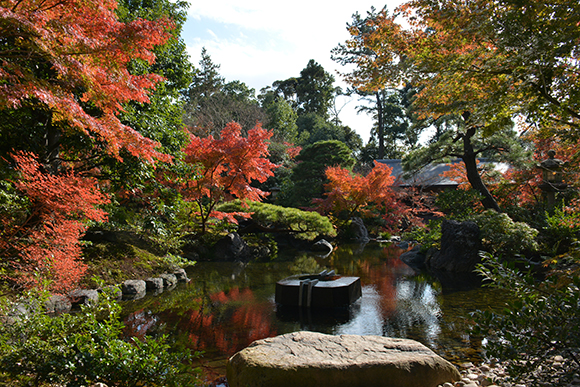 赤く色づき始めた神嶽山神苑