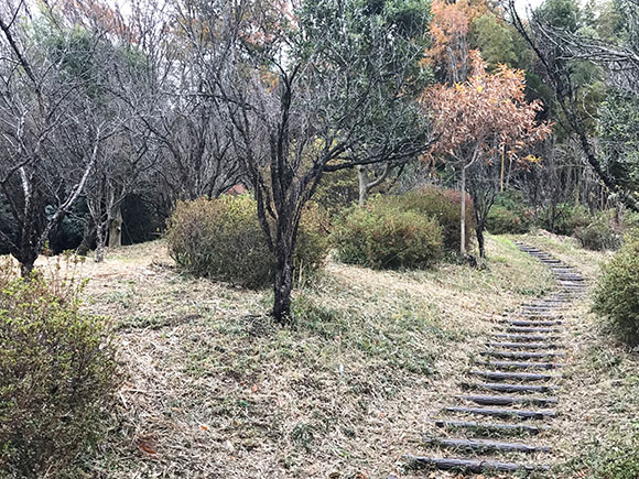 浅い階段が続く広場