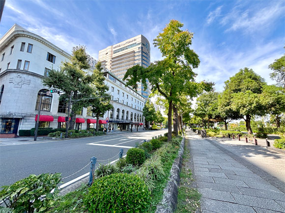 緑豊かな大通り