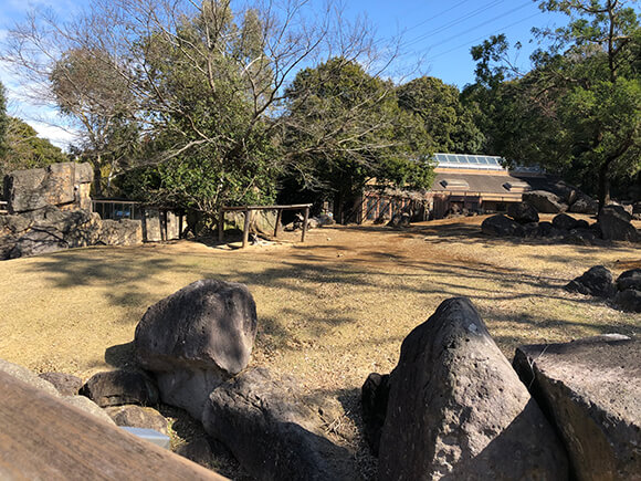 オセアニアの草原全景