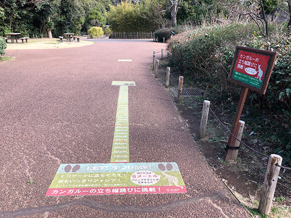 カンガルーの立ち幅跳び