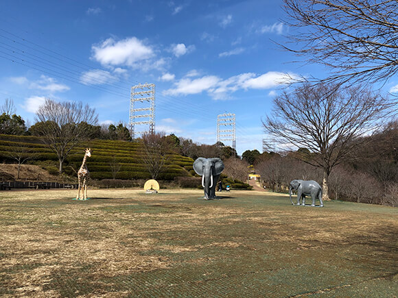 広い芝生にリアルなオブジェ